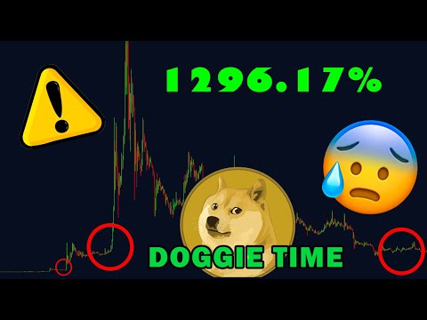 THAT'S WHY DOGGIE COIN WILL PUMP 100 -1000X AGAIN - Historical Price Action Time lapse