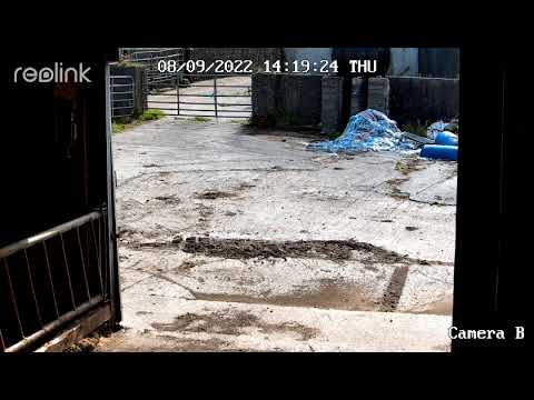 Camera B 00 20220908141801
