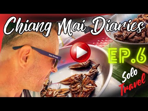 Chiang Mai’s Best Kept Secrets: Co-working, Calisthenics, Food - Chiang Mai Diaries - Episode 6