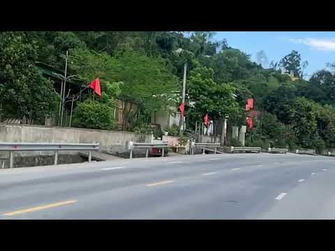 The road home is lined with lush green trees