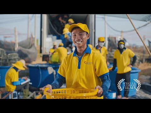 A Heritage of Quality: Minh Phu's Sustainable Shrimp Revolution