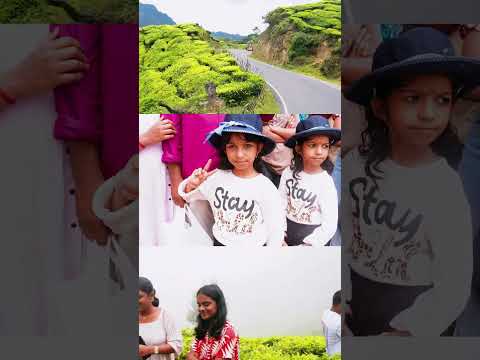 munnar tour