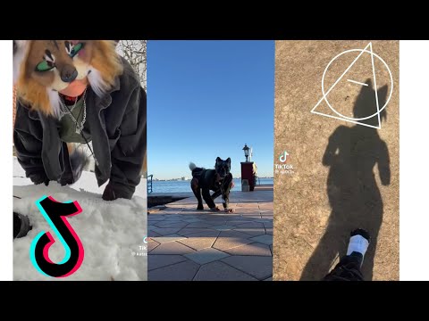 Therian/Quadrobics TikTok Comp #2 🌀🪐🍂