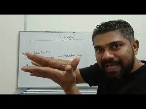 BAB 6 :  Hubungkait Rangka Hidrostatik dengan Pergerakan Pg 118