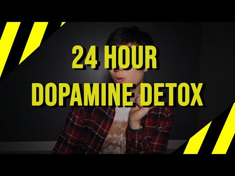 Thoughts on 24 Hour Dopamine Detox
