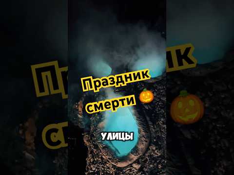 28 октября 2024 г.