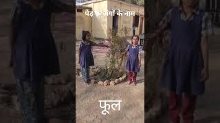 #Partsofthetree#handsonexperience#learningwithfun