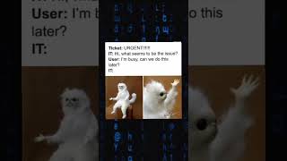 1689 Programming memes, only humor #jokes #fy #fyp #soft #software #code #it #technology #git