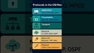 Protocols in the OSI Layers - Each layer speaks its own language!