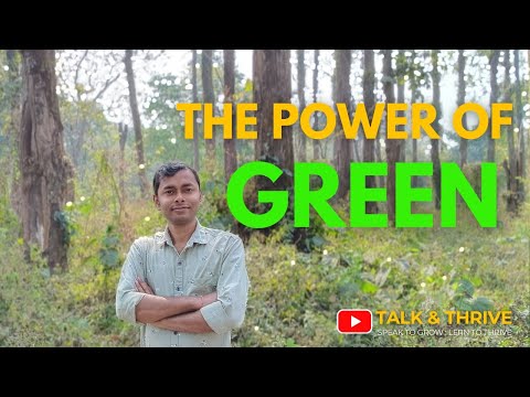 The Power of Green: Nature, Growth & Life | Why Green is the Color of Energy & Renewal |#talk&thrive