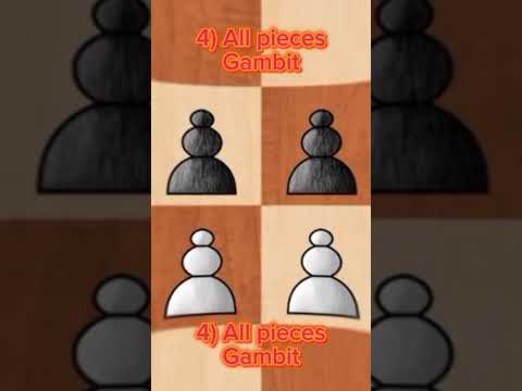 Most famous OHIO OPENINGS 🙀 #chess