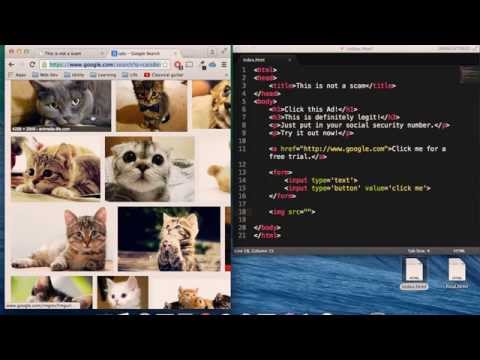 HTML Basics - Learn Coding in 5 Minutes