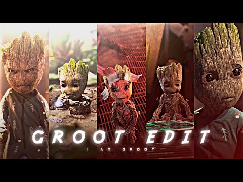 I Am Groot whatsapp Status|Groot Whatsapp Status|Neji's Paro Paro|Allo Allo Whatsapp Status