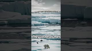 Penguins and Polar Bears NEVER Meet | False & Deep                 #falsefacts #motivation #gtamyths