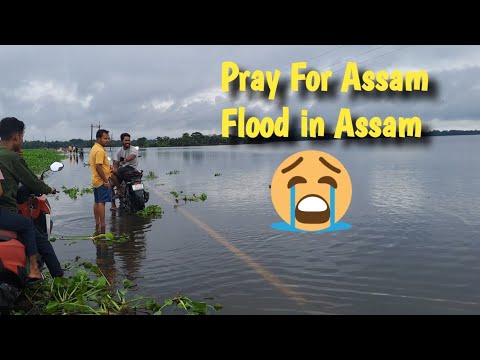 Pray For Assam 🥲 Flood in Assam #vlog #firstvlog