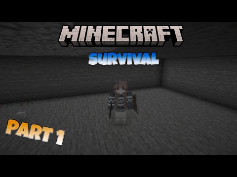 Survival Mods - Episode 1 | The Beginning of an Adventure!