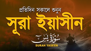 (প্রতিদিন সকালে শুনুন) আবেগময় কন্ঠে সূরা ইয়াসিন | Quran Tilawat | Surah Yaseen/yasin by Alaa Aqel