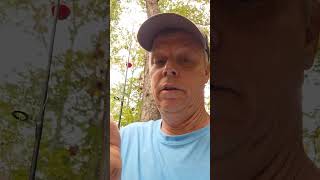 In God fishing caught a Banded Bluegill Bream in Little Black Creek at Margaret Alabama #fishing