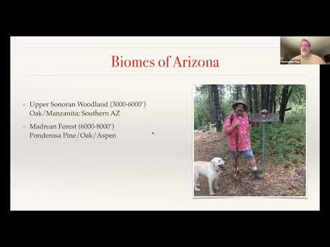 Boletes and Boletales of Arizona by Christoper May