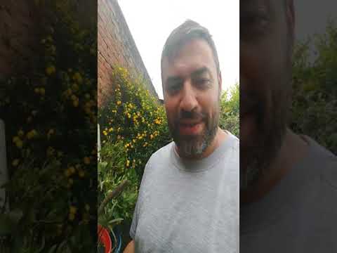 Composting as a way to relax and reduce waste