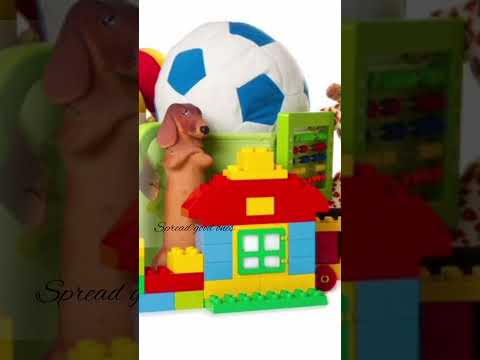 Dog #shortsfeed #toys #viralshorts #ball #block #music