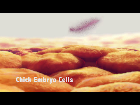 Attenuation: How Scientists Make Live Vaccines
