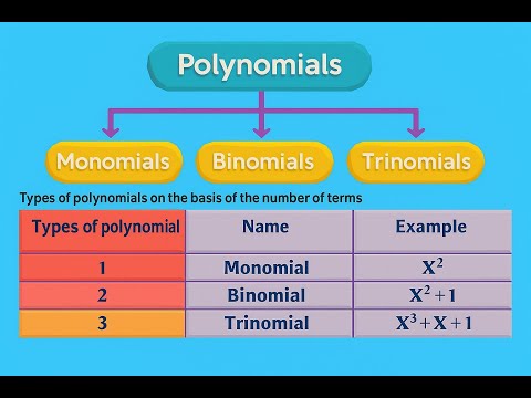 🎤 "The Polynomial Song – Rap Your Way Through Algebra!"