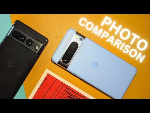 Pixel 8 Pro vs 7 Pro Photo Comparison - Not a total victory