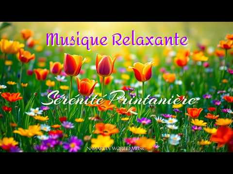 Renaissance Printanière 🌿 Musique Relaxante & Sérénité (Spring Meadow Ambient)