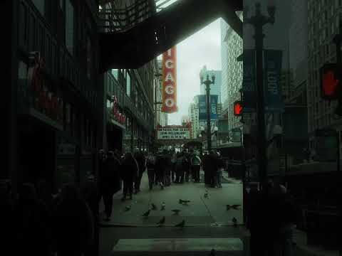 #cinematicvideo #blackpromist #tiffen #iphonecinematic