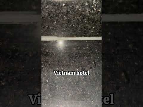 Unwelcome guests in our Vietnam hotel kitchen. #familygonomad #travellingindanang