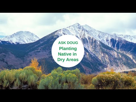 Planting Native in Dry Areas