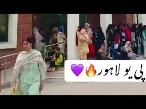 Discovering the Hidden Gem: Punjab University Lahore| Campus Quest#universityofpunjab#meritlist2024