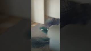 London room tour #london