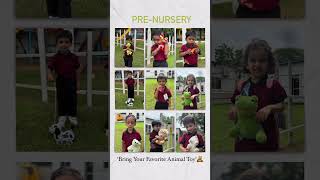 Imagination Unleashed: Pre-Nursery's Animal Toy Celebration!