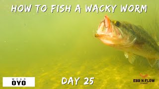 100 Tips Day 25: Wacky Worm Setup, Retrieve, and Fishing Spots!