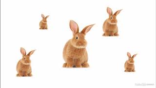 The Prototype Pattern