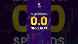 Pipze | Best Forex Broker 2025 | Spreads Starting From 0.0 Pips | Trade Like a Pro