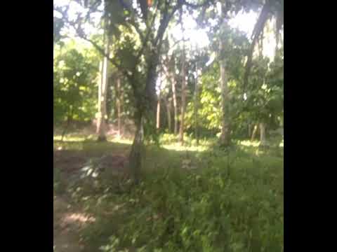 Luntiang kapaligiran