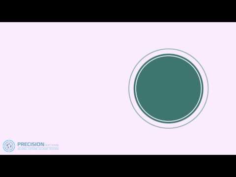 Precision Software