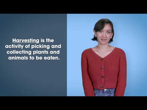 Presentation with b-roll and motion text graphics