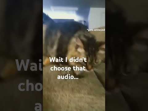 Uhhhh