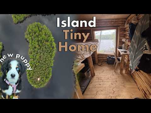 Island Tiny Home Done?! Solar and NEW Puppy! | Building a Mini Log Cabin on Our Island Ep.20