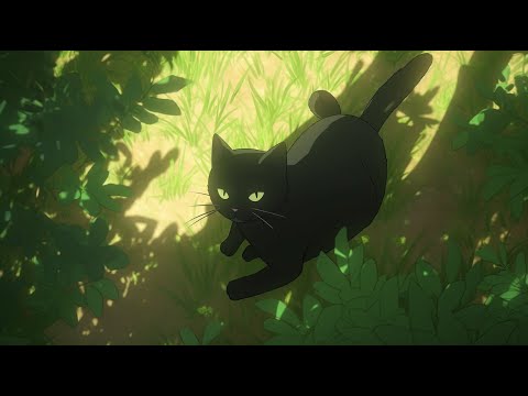 Passing rain with my cat for 1 hour  • lofi cat 🎶 🌧 - Sleep, Relax, Study, Chill