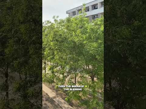 Healing After Heartbreak 💔