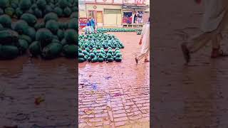 daily routine with Nadia #daliyroutine #daliylife