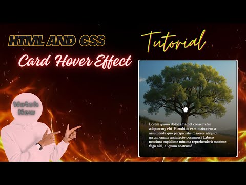 css card hover effect 🔥 #css #hovereffects #coding #htmlcss