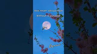 God has a perfect plan for you #grace #jesus #trustgodsplan @Gracethroughpraise