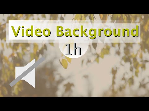 [Video Background] - leaves in the wind tinted (No Audio) - 1 Hours of Relaxing Video Background