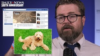 DAILY NEWS WEEKLY: Was Storm Area 51 craze a bust?